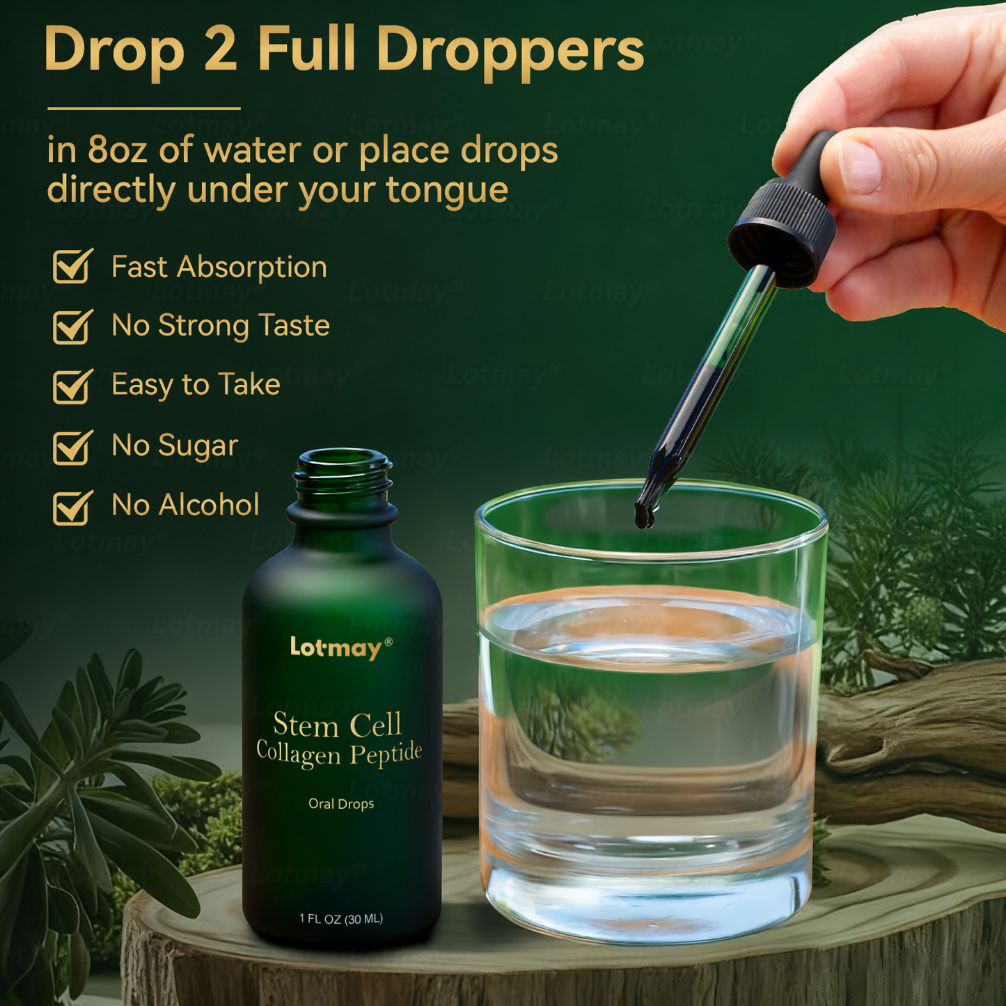 ๐ณ๐๐๐๐๐ฆยฎ ๐บ๐ก๐๐ ๐ช๐๐๐ & ๐ช๐๐๐๐๐๐๐ ๐ท๐๐๐ก๐๐๐ ๐ถ๐๐๐ ๐ซ๐๐๐๐ (๐ณ๐๐๐ก & ๐ญ๐๐๐ ๐บ๐๐๐๐๐๐ ๐บ๐๐๐ & ๐น๐๐๐ข๐๐ ๐พ๐๐๐๐๐๐ ๐ญ๐๐๐๐๐ก๐๐๐) ๐