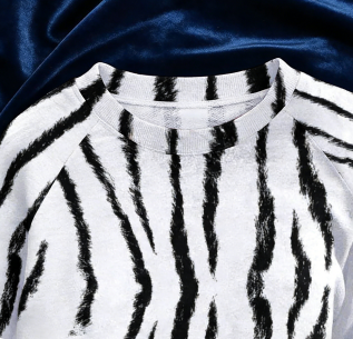 Black And White Tiger Stripe Women's Casual Raglan Crew Neck Sweater Sweatshirt Long Sleeve T-Shirt