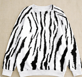 Black And White Tiger Stripe Women's Casual Raglan Crew Neck Sweater Sweatshirt Long Sleeve T-Shirt
